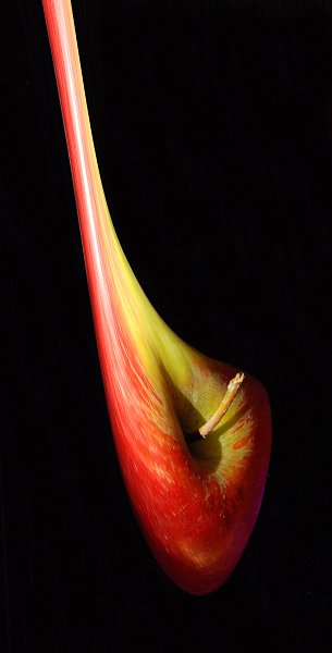 Reinhild_Homburg-03