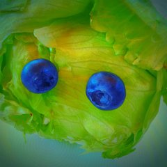 Reinhild_Homburg-02