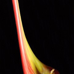 Reinhild_Homburg-03
