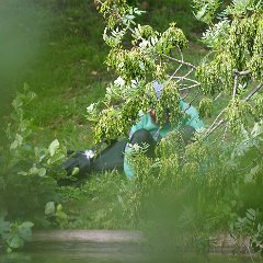 Hartmut_Hasse-1
