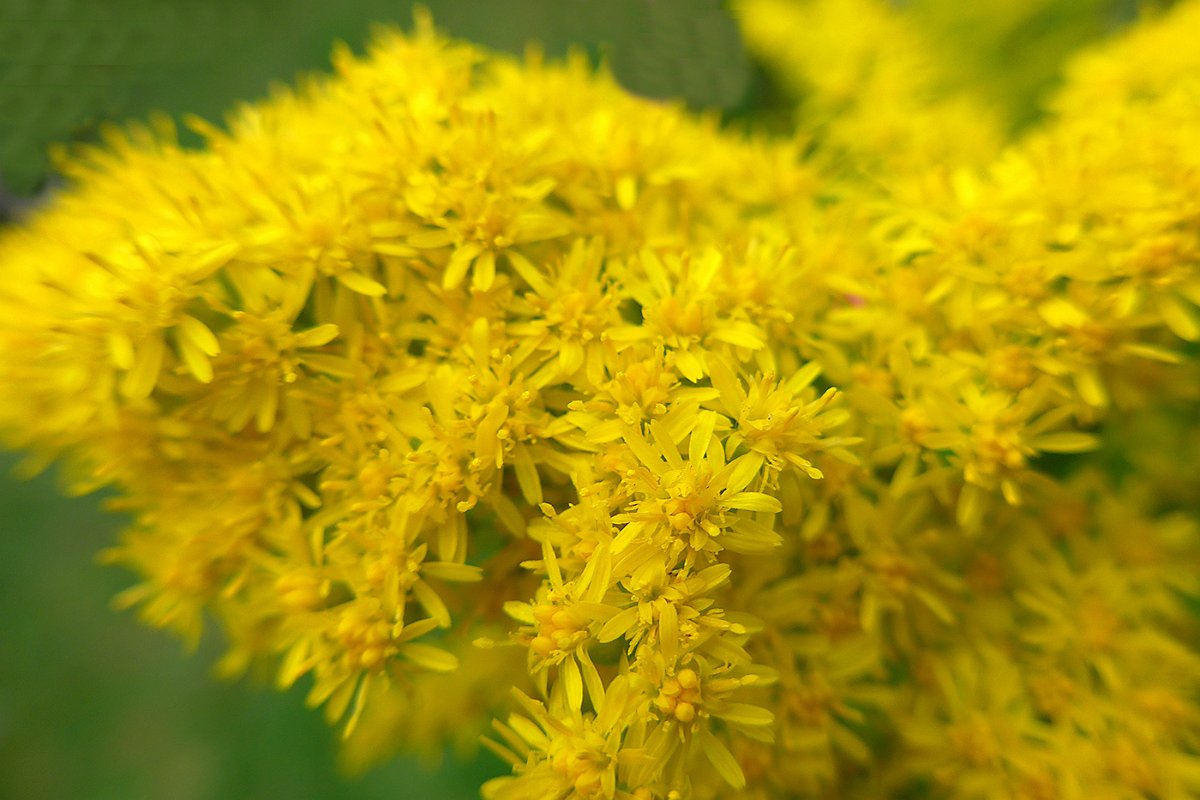 Edeltraut_Kueck-Hemme-1