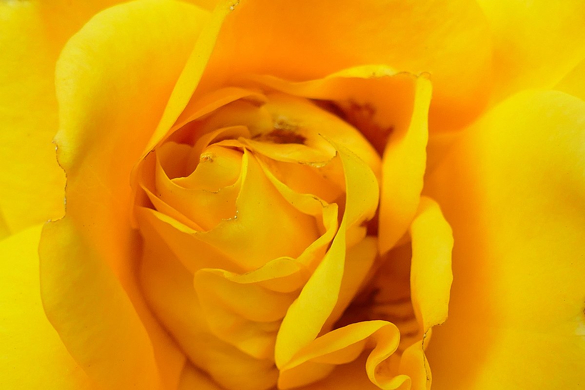 Henner_Luebkemann-1