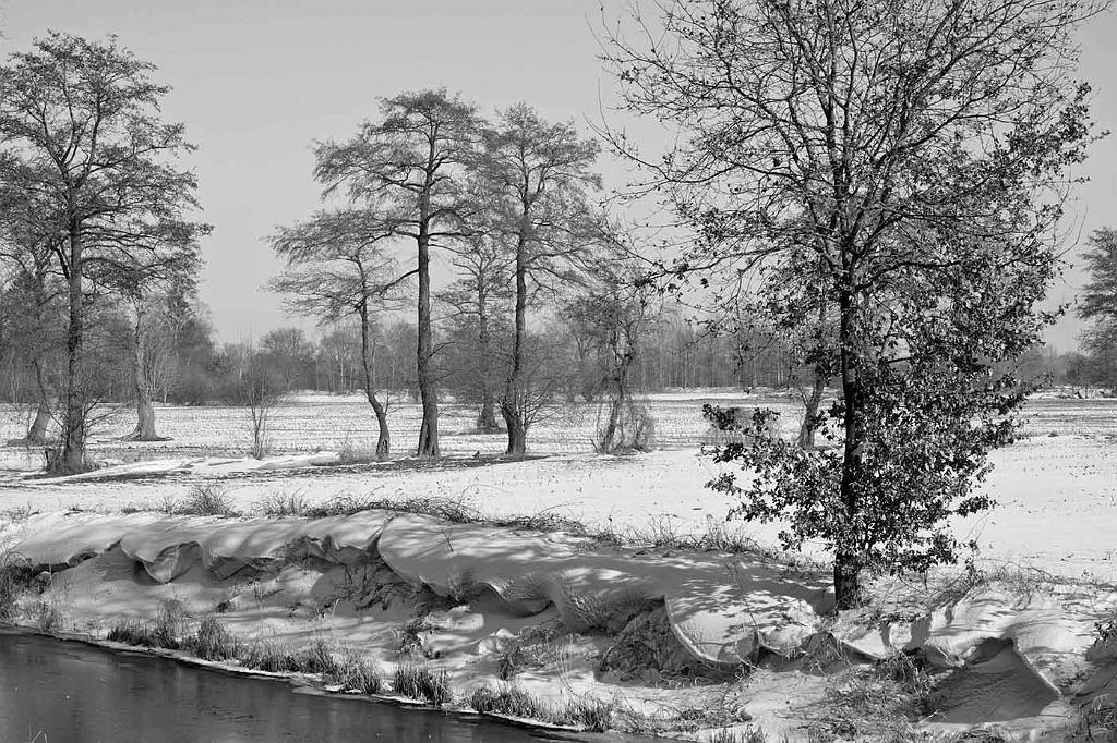 Eberhard_Altstaedt-2