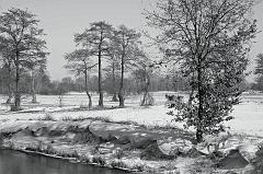 Eberhard_Altstaedt-2