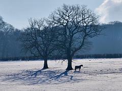 Gosia_Vollmer-5