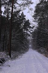Peter_Nolte-1