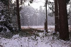 Peter_Nolte-2