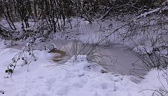 Peter_Nolte-3