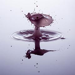 Thomas_Borchardt-1