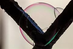 Thomas_Borchardt-5