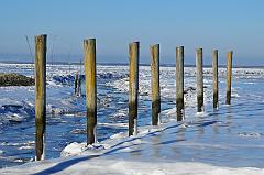 Ulrich_Reiss-2