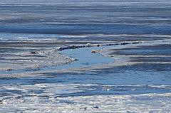 Ulrich_Reiss-3
