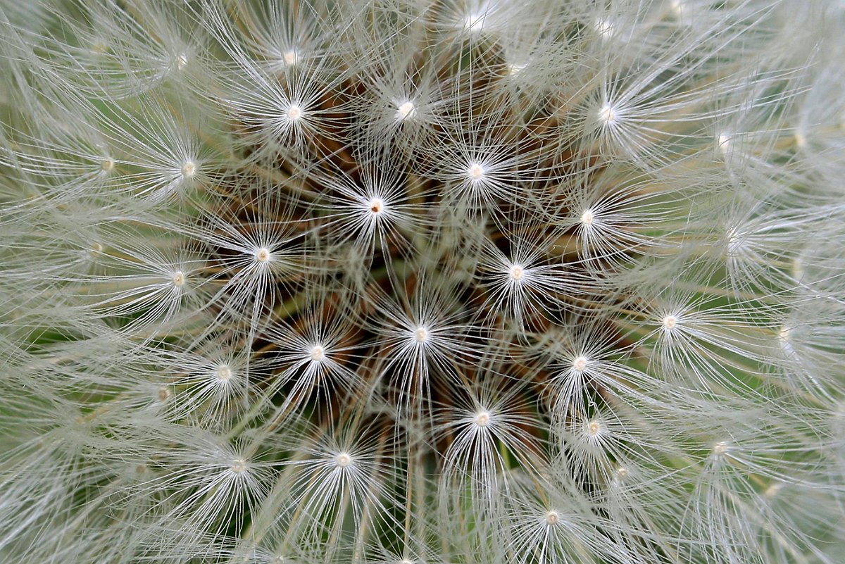 Birgit_Hahn-2