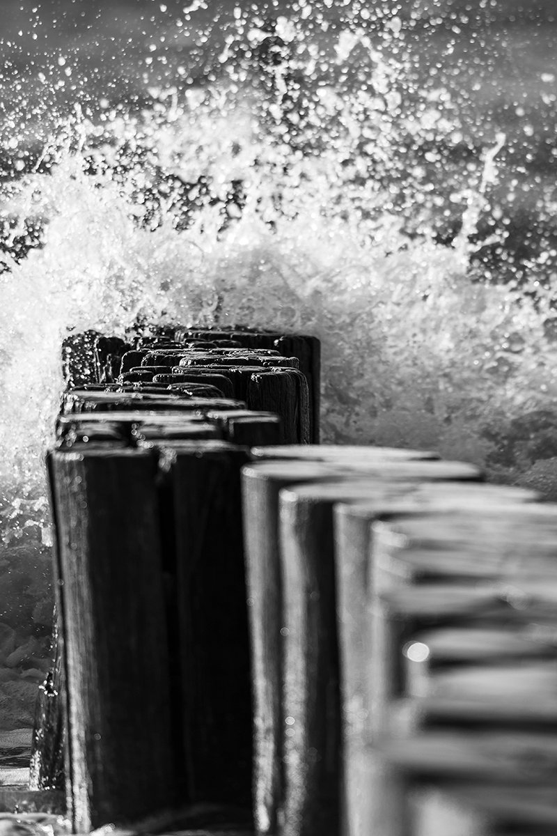 Roswitha_Weber-2