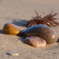 Manfred_Malth-1