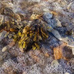 Manfred_Malth-3