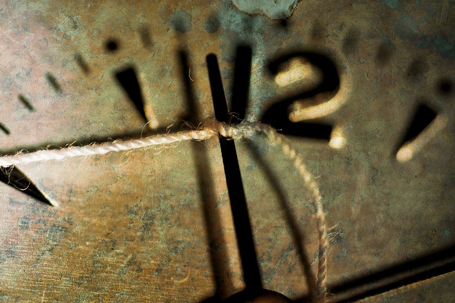 FFV-Roswitha_Weber-2