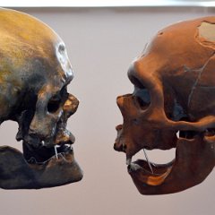 FFV-Bernd_Grunschwitz-1